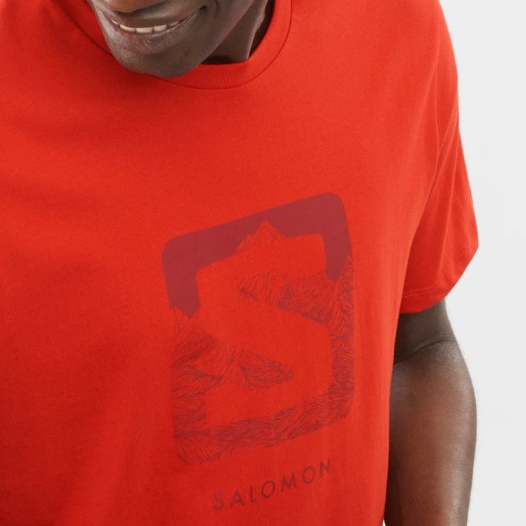 Orange Salomon Outlife Logo Short Sleeve Men's T-Shirts | IE CW3270